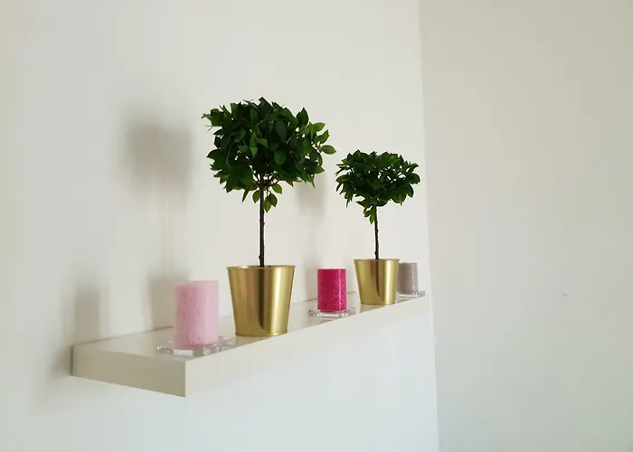 Cconforthotels Crispi 3*