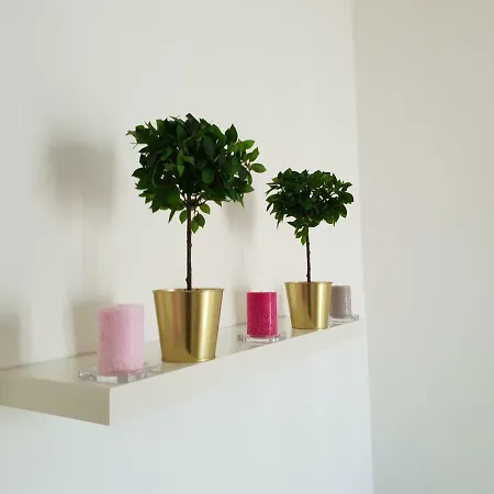 Cconforthotels Crispi 3*